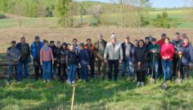 Czytaj więcej o: Akcja sadzenia drzewek